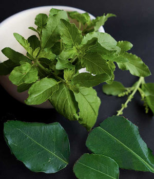 Kaffir Lime Leaves and Holy Basil Leaves